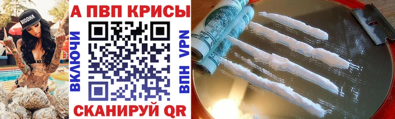 A PVP СК КРИС  Нефтекумск 