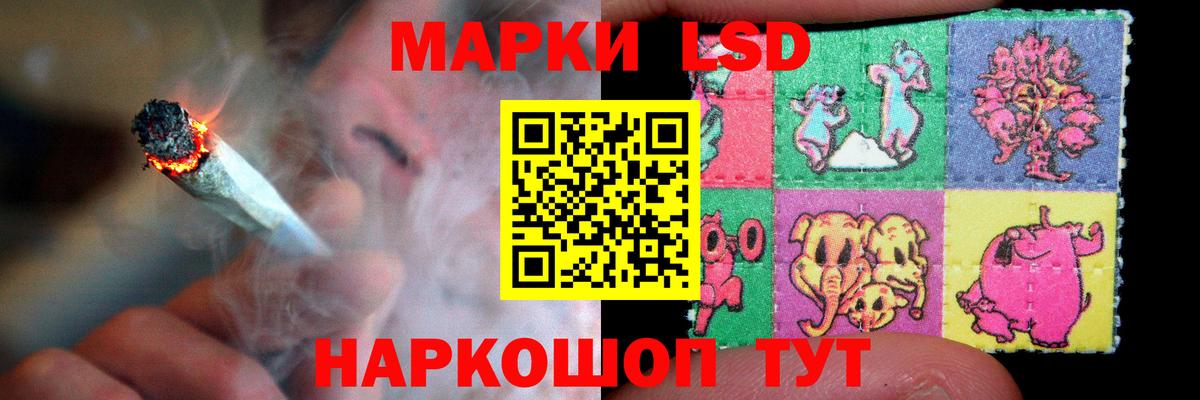 Нефтекумск  ЛСД экстази  Вход с VPN  Лсд 25 экстази кислота 