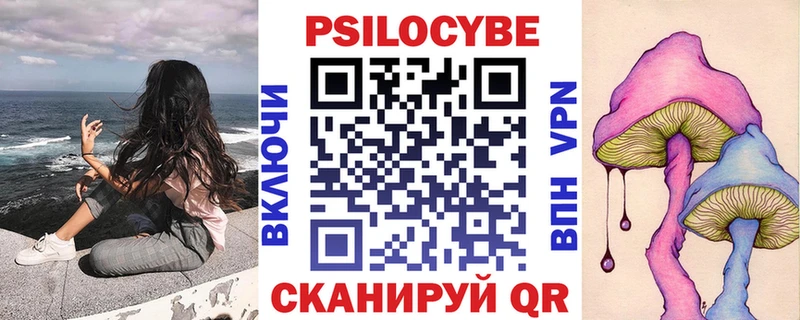 как найти дарк нет как зайти Псилоцибиновые грибы мицелий Нефтекумск