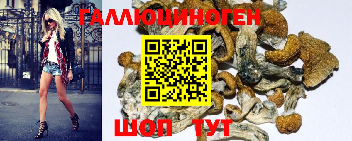 Псилоцибиновые грибы Magic Shrooms Нефтекумск