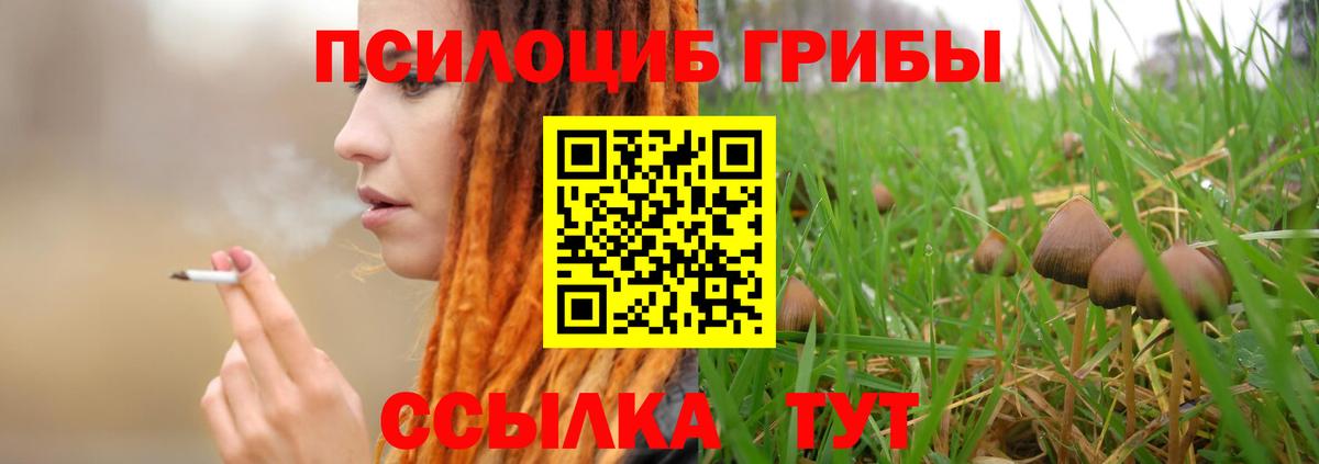 Нефтекумск  Псилоцибиновые грибы ЛСД  Вход с VPN  Галлюциногенные грибы мицелий 